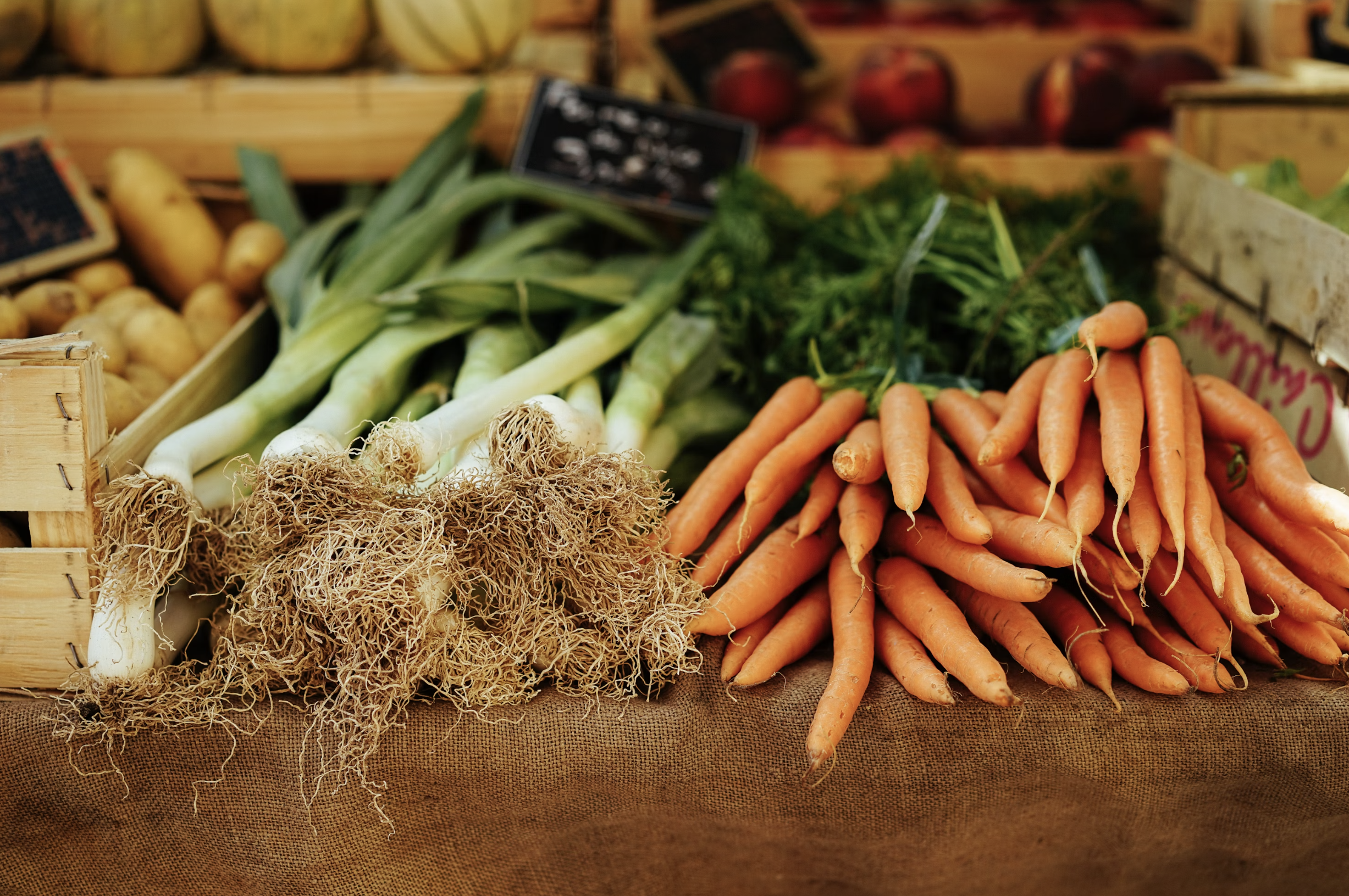 fresh vegetables