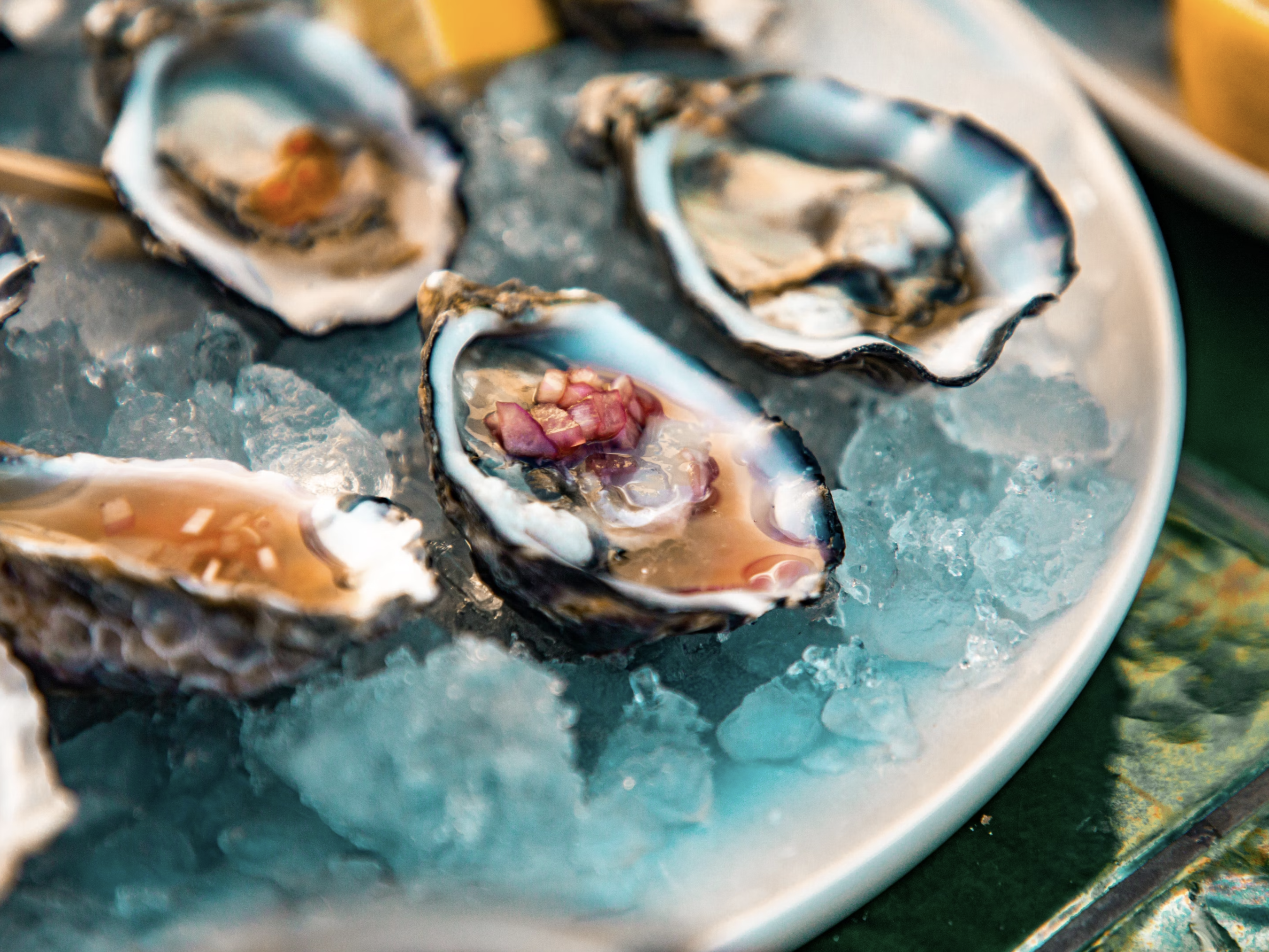 oysters